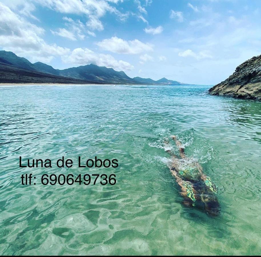 Luna De Lobos Корралехо Екстер'єр фото